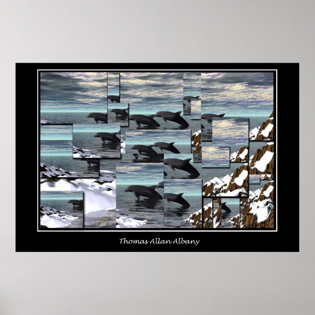 Eisschildkröten Poster (Vorne)