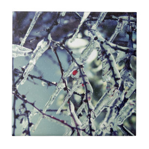 Eisstein aus gefrorenen Beeren Fliese