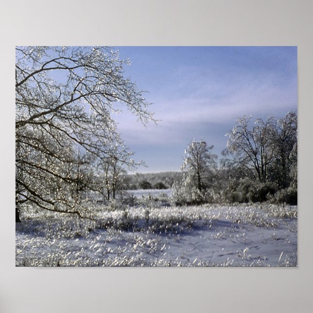 Eisstürm glänzt ein Wald Poster (Vorne)