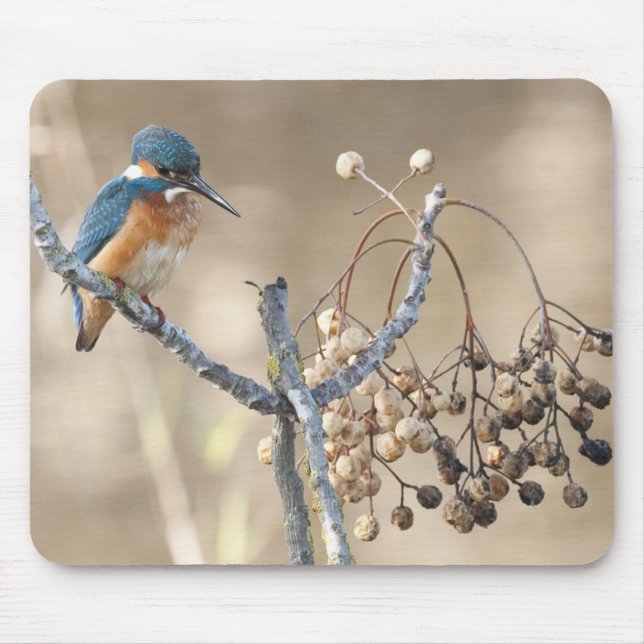 Eisvogel an Hula Reserve Mousepad (Vorne)