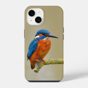 Eisvogel auf Sitzplatz iPhone 14 Hülle