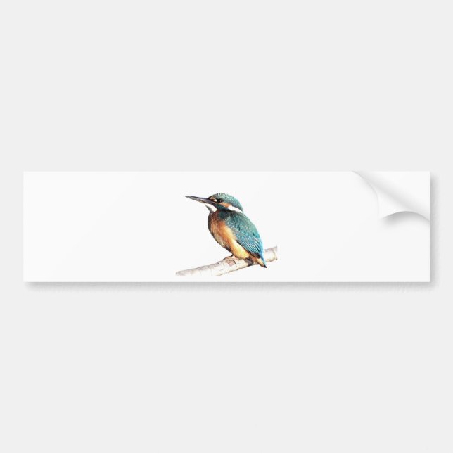 "Eisvogel " Autoaufkleber (Vorne)