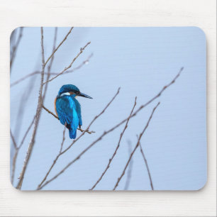 Eisvogel im Ansitz Mousepad