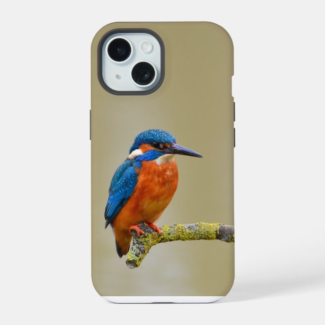 Eisvogel iPhone 15 Hülle (Rückseite)