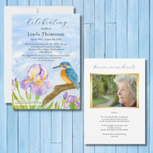 Eisvogel Lila Iris Lebensfeier