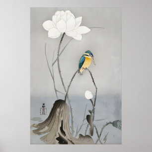 Eisvogel mit Lotusblume Japanische Feine Kunst Poster