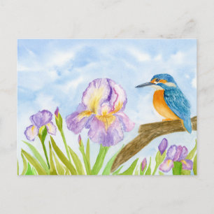 Eisvogel mit violetten Schwertlilien Postkarte