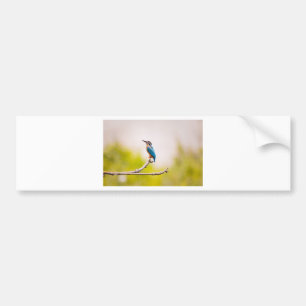 Eisvogel-Natur Autoaufkleber