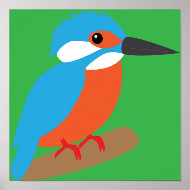 Eisvogel Poster (Vorne)