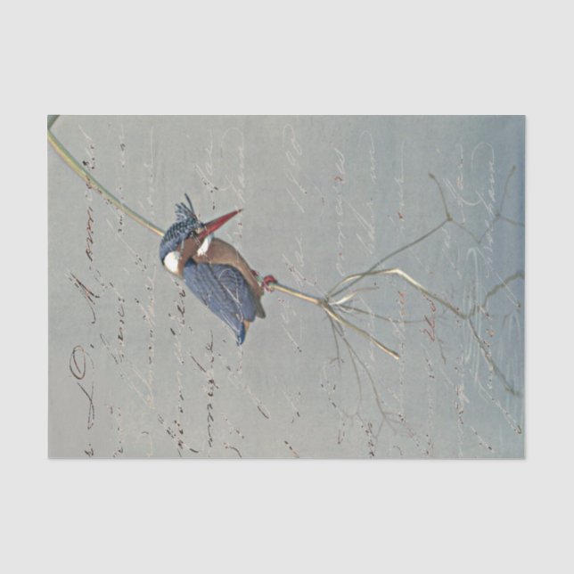 Eisvogel-Reflexion Französisches Vintage-Vogel-Scr Seidenpapier (Vorderseite)