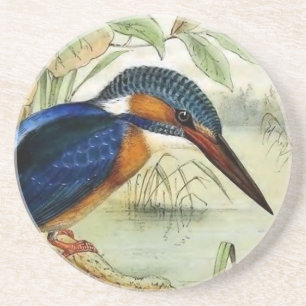 Eisvogel-Vintage Vogel-Illustration Getränkeuntersetzer