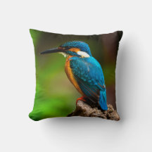 Eisvogel-Vogel-Naturkissen