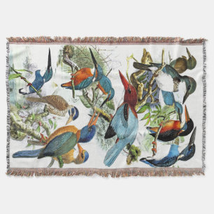 Eisvogel-Vogel-Tier-Teich-Wurfs-Decke Decke