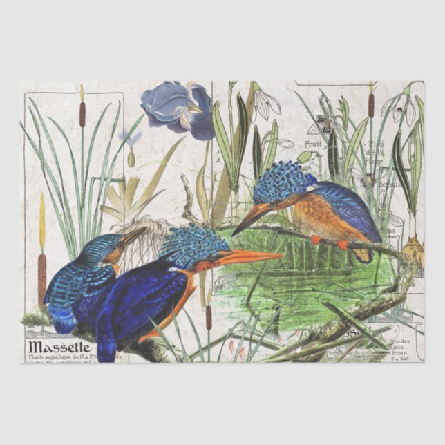 Eisvogel-Vögelcattail-Iris-Blumen-Seidenpapier Seidenpapier (Vorderseite)