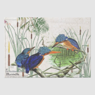 Eisvogel-Vogelcattail-Teich-Tier-Seidenpapier Seidenpapier