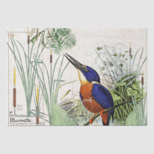 Eisvogel-Vogelcattail-Teich-Tier-Seidenpapier Seidenpapier