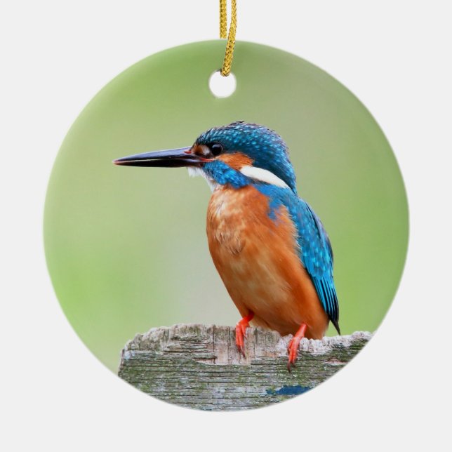 Eisvogelvogel Keramik Ornament (Vorne)
