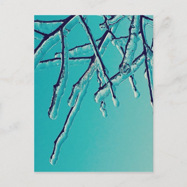 Eiszapfenäste Postkarte (Vorderseite)
