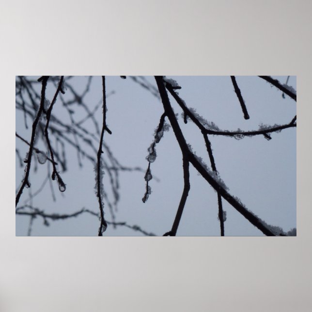 Eiszweige Winternaturfotografie Poster (Vorne)