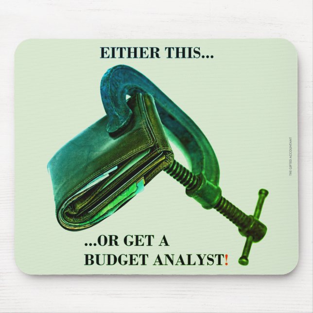 "Either this... or get a budget analyst" Mousepad (Vorne)