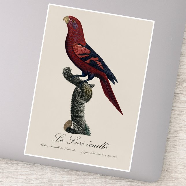 Ekaille von Le Lori Aufkleber (Blue-Streaked Lory, Trichoglossus reticulatus. Sticker )