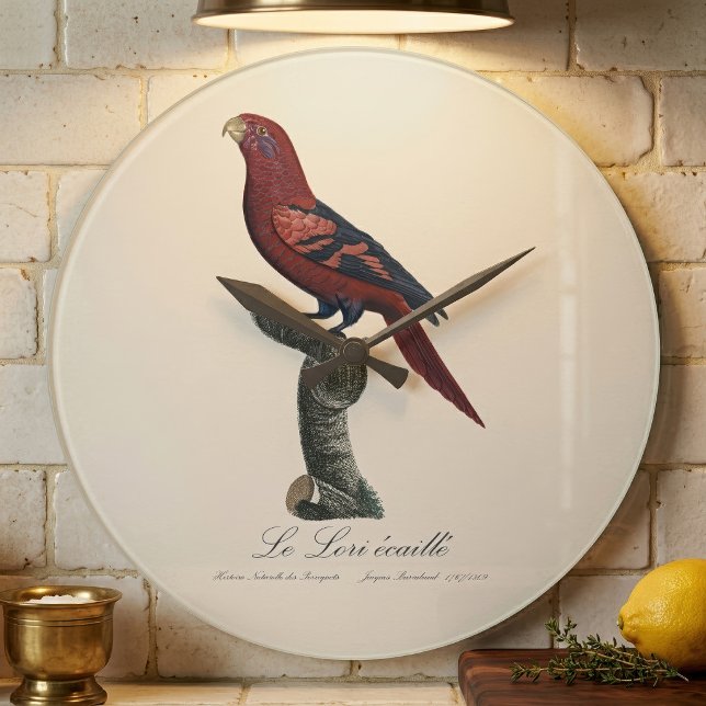 Ekaille von Le Lori Große Wanduhr (Blue-Streaked Lory, Trichoglossus reticulatus. Large Clock)