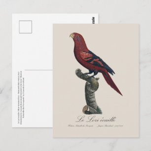 Ekaille von Le Lori Postkarte