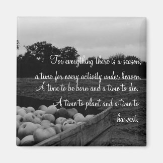 Ekclesiastes 3:2 magnet