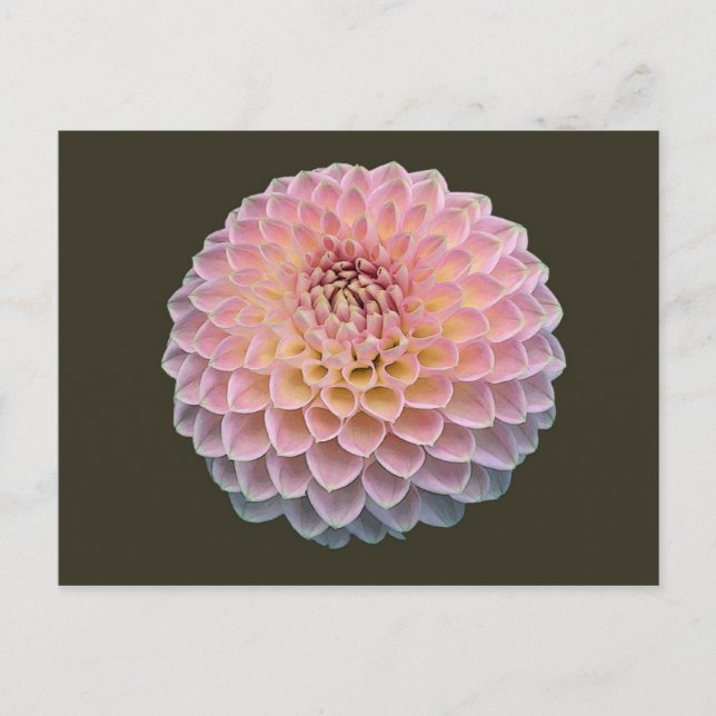 Eklat Postkarte (Vorderseite)