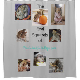 Ekzem sauber duschvorhang