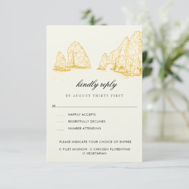El Arco Cabo San Lucas Kindly Reply | Meal Options RSVP Karte (Stehend Vorderseite)