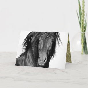El Caballo Negro Horse Greeting Card Karte