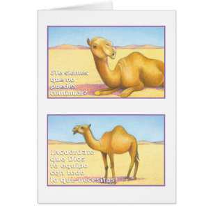 EL Camello, tarjeta