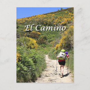 El Camino de Santiago de Compostela, Spanien, Pfad Postkarte