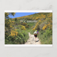 El Camino de Santiago de Compostela, Spanien, Pfad