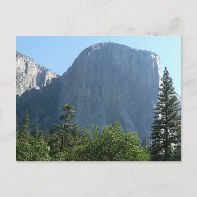 El Capitan aus dem Yosemite Nationalpark Postkarte (Vorderseite)