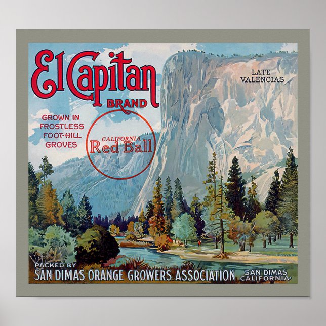 El Capitan Marke San Dimas Orange Fruchtlabel Poster (Vorne)