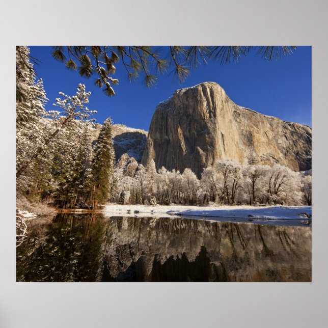El Capitan reflektiert in den Merced River in Poster (Vorne)