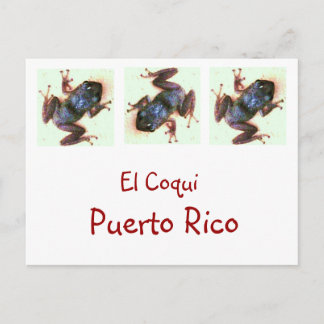 El Coqui Puerto Rico Post Card Postkarte