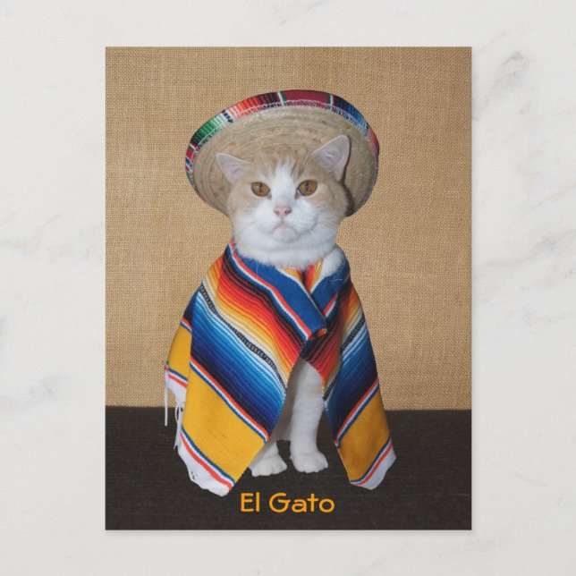 El Gato Cat in Sombrero und Serape Postkarte (Vorderseite)