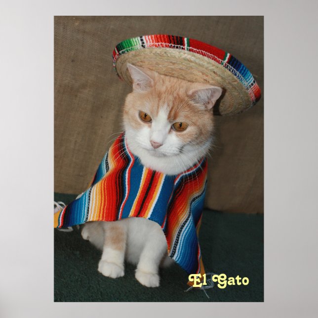 El Gato Poster (Vorne)