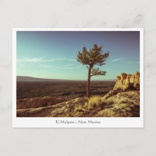 El Malpais National Monument Postkarte