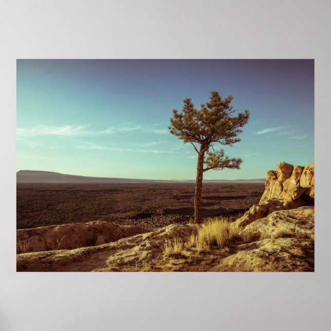 El Malpais, New Mexico Landschaft Poster (Vorne)