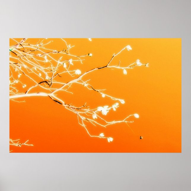 El Paso Poster (Vorne)