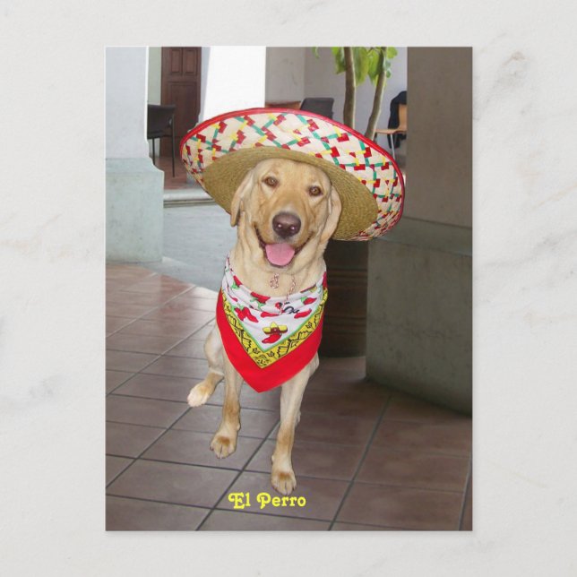 El Perro Postkarte (Vorderseite)