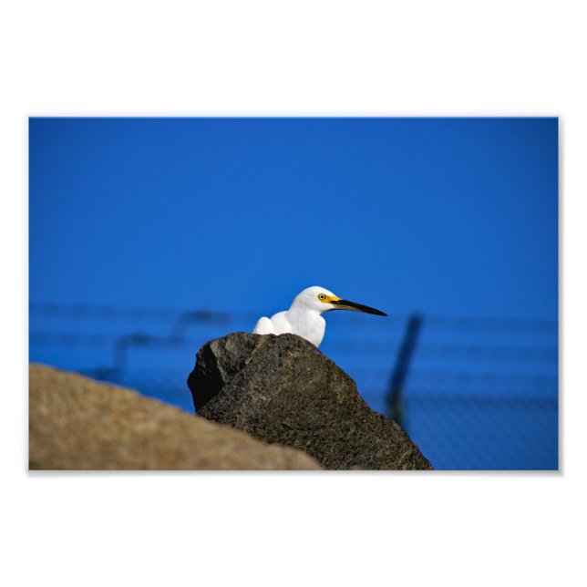 El Porto Manhattan Beach Fotodruck (Vorne)