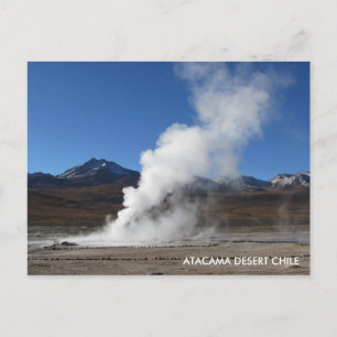 El Tatio Geyser, Atacama Wüste, Chile Postkarte