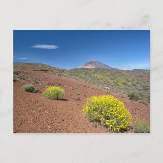El Teide im Springtime Postkarte (Vorderseite)