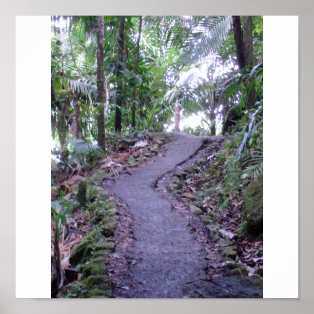 El Yunque National Forest Poster (Vorne)