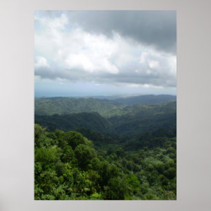El Yunque National Forest Poster